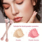 Dual-Ended Makeup Brush Blending & Blush Tool