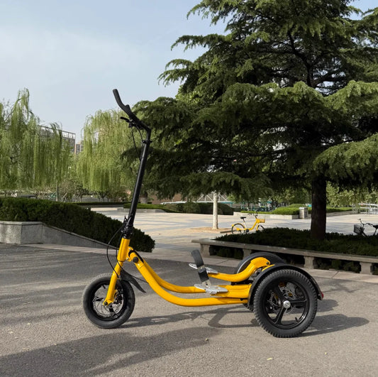 SRJOINFIT Step Bike Fitness Bike Upright Bike Fitness