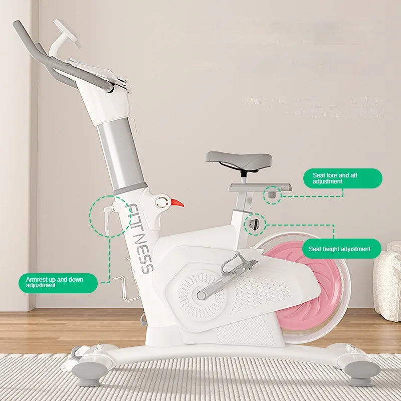 Indoor Cycling Fitness Equipment Mute Fat