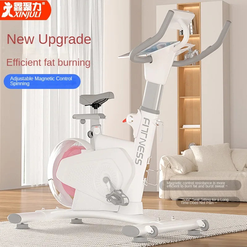 Indoor Cycling Fitness Equipment Mute Fat