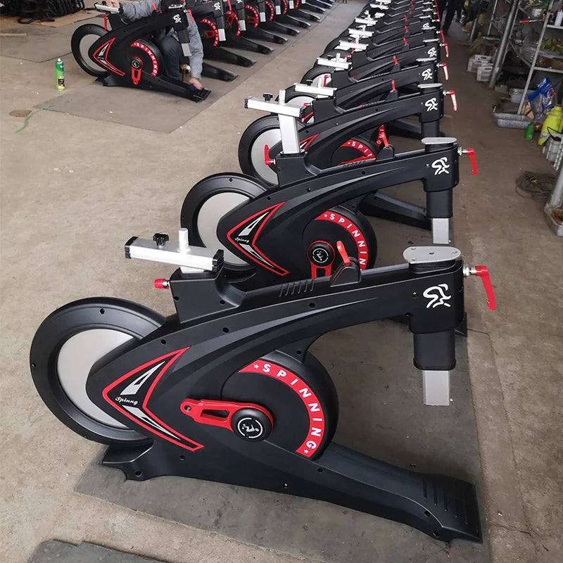Top Sports Indoor Professional Magnetic Body Fit Exercise