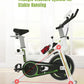 Indoor Cycling Bike with Magnetic Flywheel & LCD Monitor